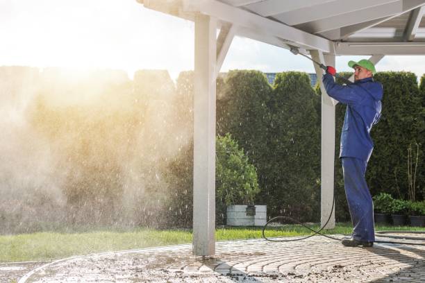 Professional Pressure Washing Services in Lumberton, TX